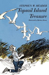Produktbild: Topsail Island Treasure