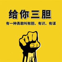 Produktbild: 给你三胆：有一种勇敢叫有胆、有识、有谋