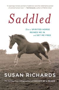 Produktbild: Saddled