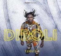 Produktbild: Diboli