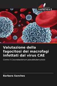 Produktbild: Valutazione della fagocitosi dei macrofagi infettati dal virus CAE