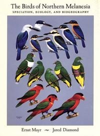 Produktbild: Birds Of Northern Melanesia