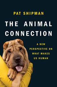 Produktbild: The Animal Connection