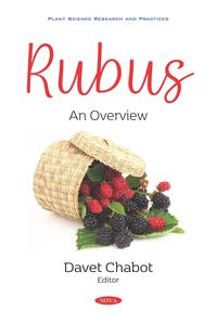 Produktbild: Rubus: An Overview