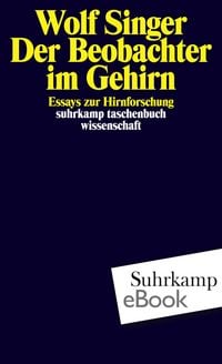 Produktbild: Der Beobachter im Gehirn