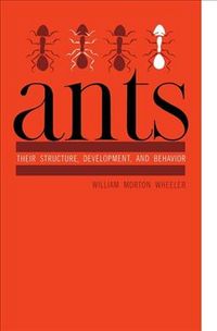 Produktbild: ANTS