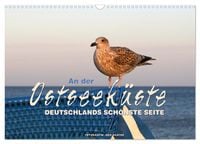 Produktbild: An der Ostseek&uuml;ste - Deutschlands sch&ouml;nste Seite (Wandkalender 2026 DIN A3 quer), CALVENDO Monatskalender