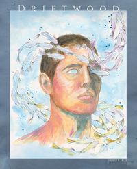 Produktbild: Driftwood Press 8.1