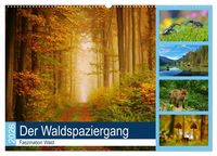 Produktbild: Der Waldspaziergang (Wandkalender 2026 DIN A2 quer), CALVENDO Monatskalender
