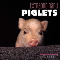 Produktbild: Cal 2012-Extraordinary Piglet