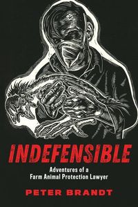 Produktbild: Indefensible