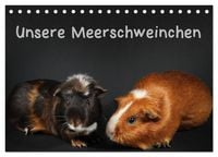 Produktbild: Unsere Meerschweinchen (Tischkalender 2026 DIN A5 quer), CALVENDO Monatskalender