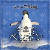 Produktbild: 初心者学習者, ペンギンのすべて
