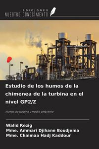 Produktbild: Estudio de los humos de la chimenea de la turbina en el nivel GP2/Z