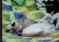 Produktbild: Thaikatzen