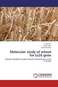 Produktbild: Ali, L: Molecular study of wheat for Lr26 gene