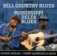 Produktbild: From Hill Country Blues To Mississippi Delta Blues