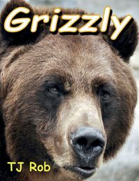 Produktbild: Grizzly