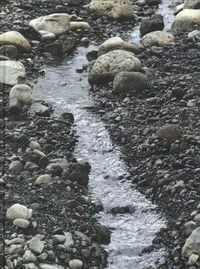 Produktbild: Olafur Eliasson: Riverbed