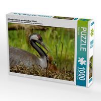 Produktbild: CALVENDO Puzzle Altvogel mit erst geschl&uuml;pftem K&uuml;ken 1000 Teile Puzzle quer | 1000 Teile Lege-Gr&ouml;&szlig;e 64 &times; 48 cm Foto-Puzzle f&uuml;r gl&uuml;ckliche Stunden