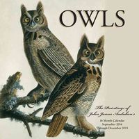 Produktbild: Audubon, J: Owls