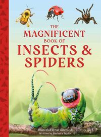Produktbild: The Magnificent Book of Insects and Spiders