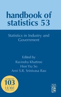 Produktbild: Statistics in Industry and Government