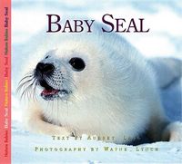 Produktbild: Baby Seal