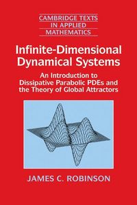 Produktbild: Infinite-Dimensional Dynamical Systems