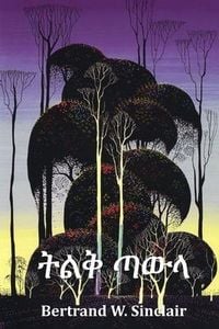 Produktbild: ትልቅ ጣውላ