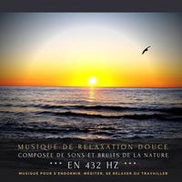 Produktbild: Musique de relaxation douce compos&eacute;e de sons et bruits de la nature en 432Hz