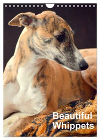 'Beautiful Whippets (Wall Calendar 2024 DIN A4 portrait), CALVENDO 12