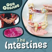 Produktbild: The Intestines