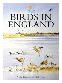 Produktbild: Birds in England