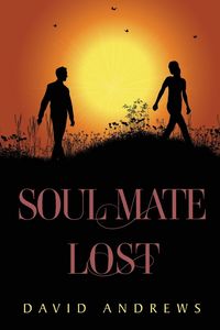 Produktbild: Andrews, D: Soul Mate Lost