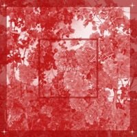 Produktbild: beginnings