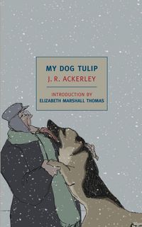 Produktbild: My Dog Tulip