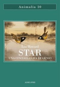 Produktbild: Star. Una cinciallegra di genio