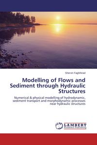 Produktbild: Modelling of Flows and Sediment through Hydraulic Structures
