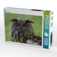 Produktbild: CALVENDO Puzzle Uhu | 1000 Teile Lege-Gr&ouml;&szlig;e 64x48cm Foto-Puzzle f&uuml;r gl&uuml;ckliche Stunden