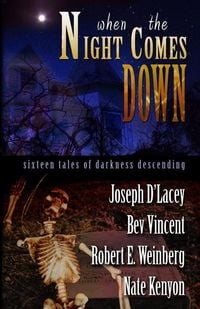 Produktbild: When The Night Comes Down