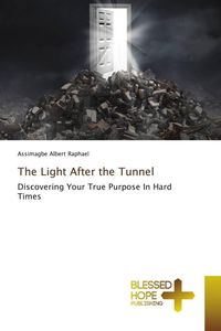 Produktbild: The Light After the Tunnel