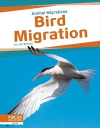 Produktbild: Bird Migration