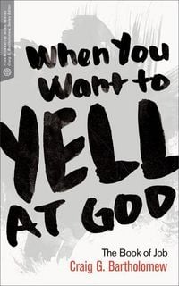 Produktbild: When You Want to Yell at God