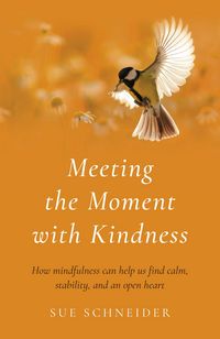 Produktbild: Meeting the Moment with Kindness