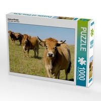 Produktbild: Aubrac-Rinder (Puzzle)
