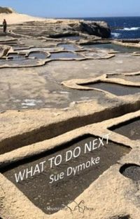 Produktbild: What To Do Next