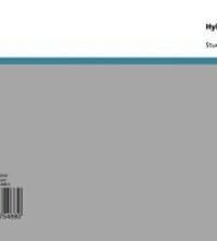 Produktbild: Hybridit&auml;t - Synkretismus - Kreolisierung