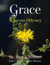 Produktbild: Grace - A Joyous Odyssey