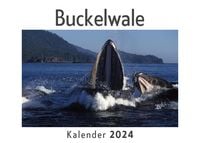 Produktbild: Buckelwale (Wandkalender 2024, Kalender DIN A4 quer, Monatskalender im Querformat mit Kalendarium, Das perfekte Geschenk)